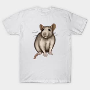 Cute Rat Drawing T-Shirt